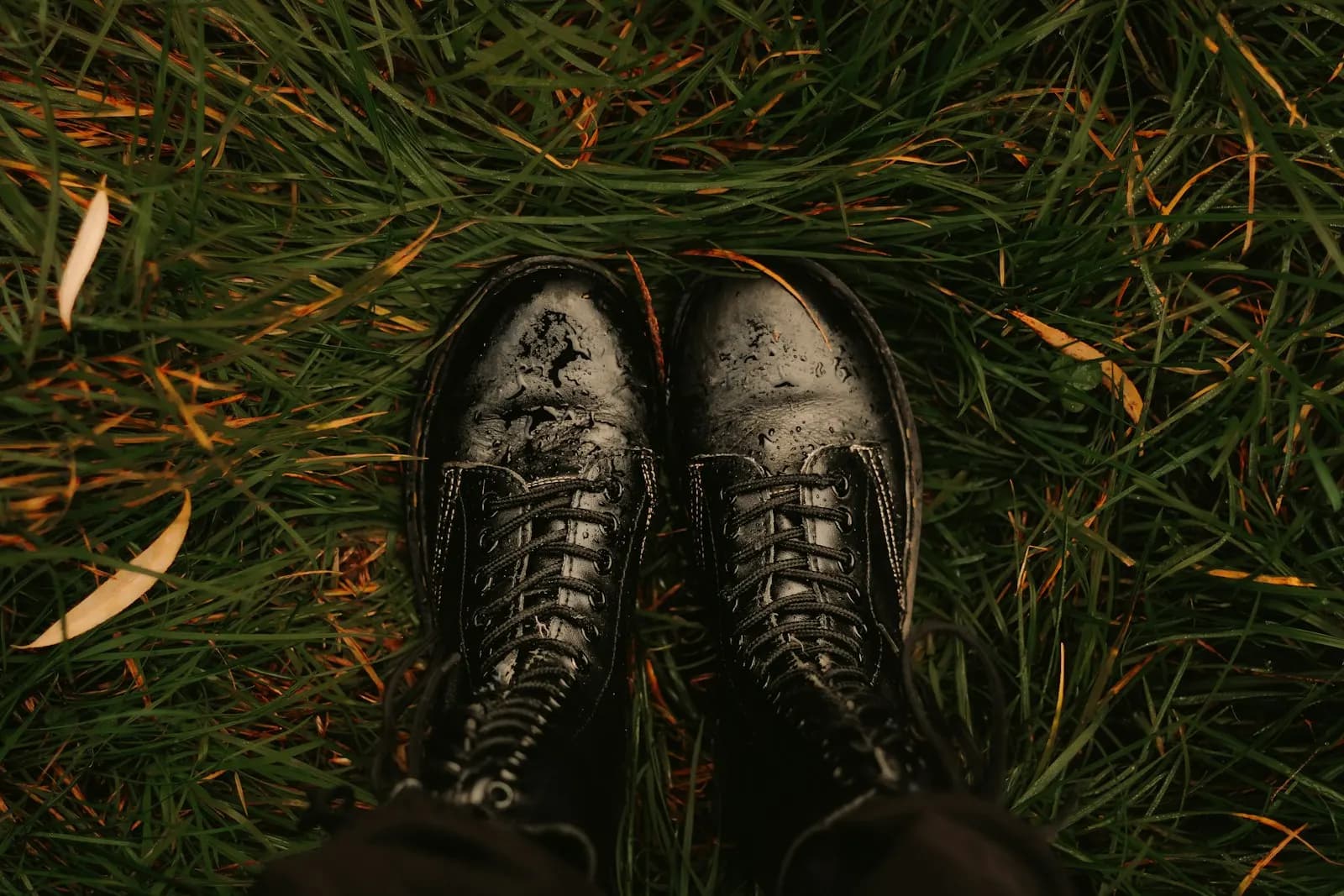 Paire de chaussures montantes en cuir noir, mouillées, posées dans l'herbe